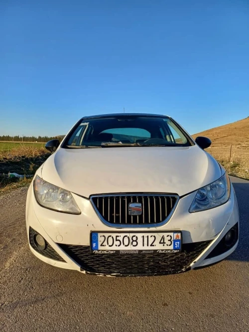 Seat Ibiza 2012 Loca