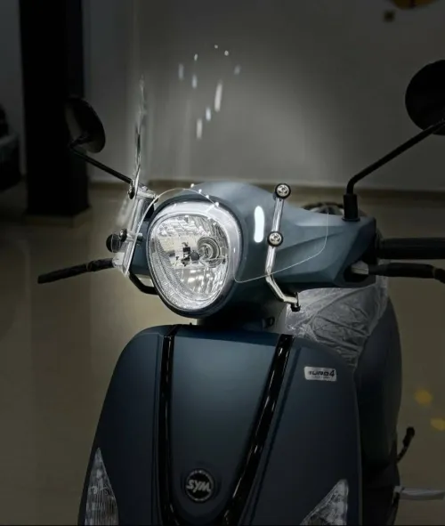 Fidelle 3 2025