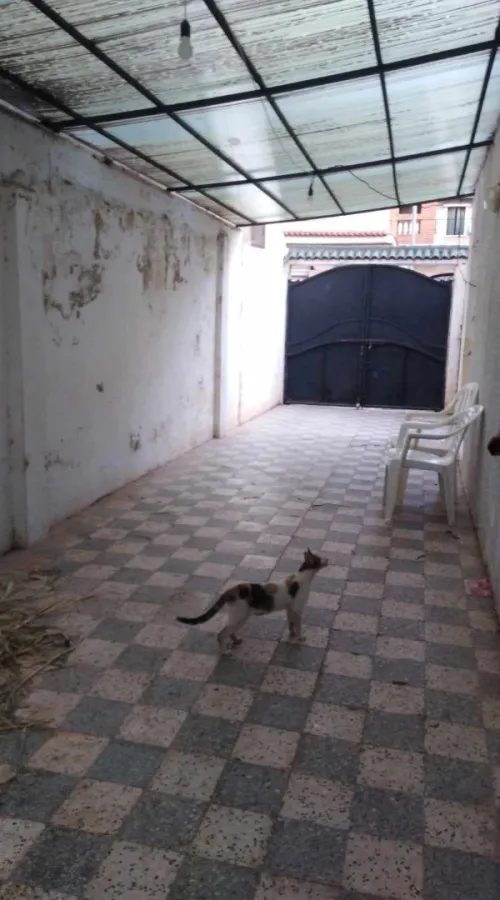 Vente Villa Alger El harrach