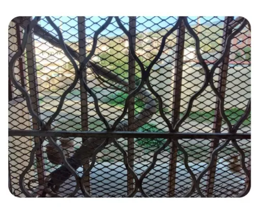 Vente Appartement F3 Blida Ouled yaich