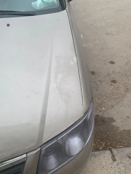 Nissan Sunny 2012 Sunny