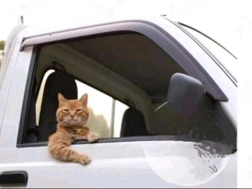 Climatiseur mobile 
