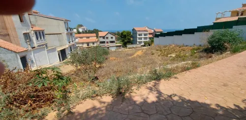 Vente Terrain Tipaza Tipaza