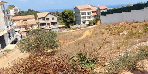 Vente Terrain Tipaza Tipaza