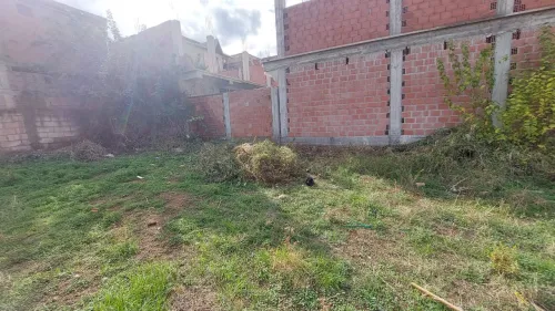 Vente Terrain Blida Bouinan