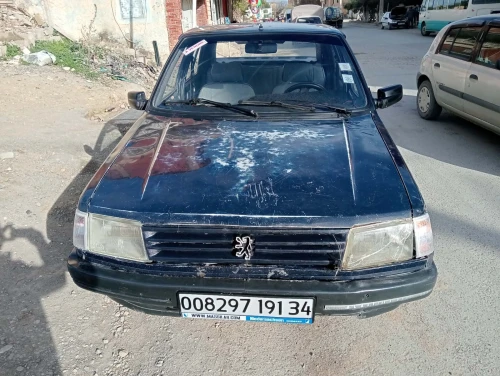 Peugeot 309 1991 309