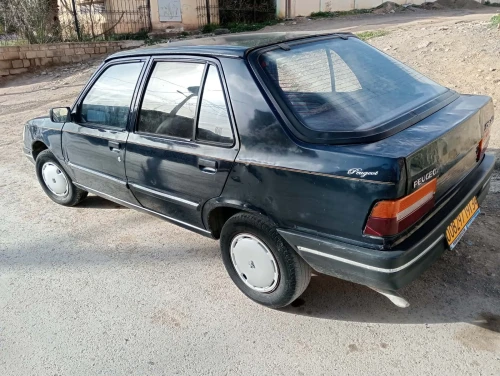 Peugeot 309 1991 309