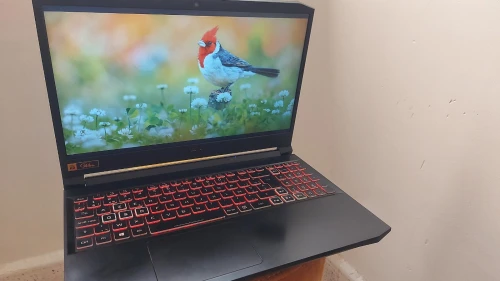 ACER NITRO 5 - I7 11ème | RTX 3060