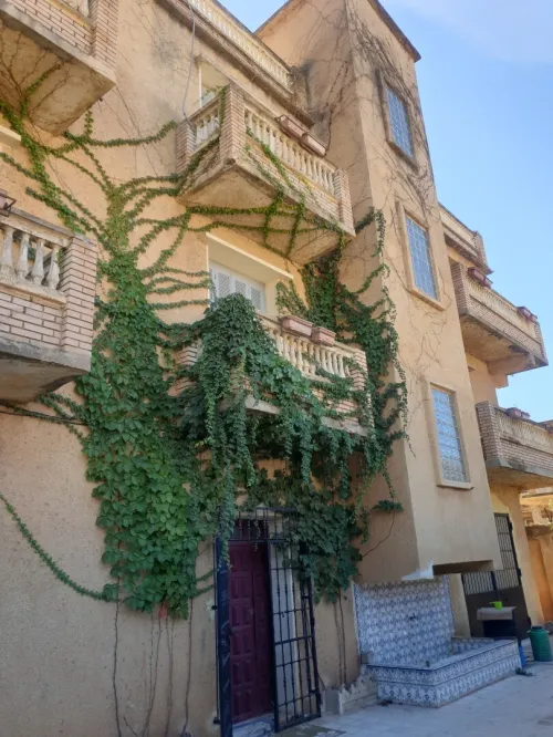 Vente Villa Alger Zeralda