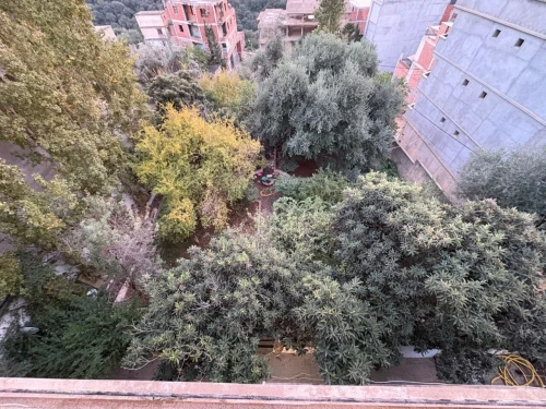 Vente Villa Alger Saoula