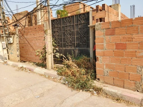 Vente bien immobilier Blida Meftah
