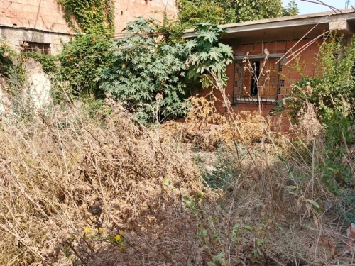 Vente bien immobilier Blida Meftah