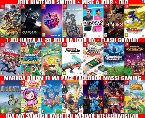 INSTALLATION JEUX NINTENDO SWITCH FLASHÉE / PUCÉE (+ FLASH GRATUIT + DLC + MISE A JOUR)
