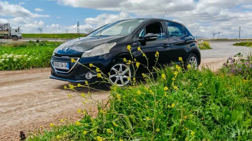 Peugeot 208 2014 Active