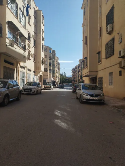 Location Local Tlemcen Tlemcen