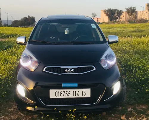 Kia Picanto 2014 Robo