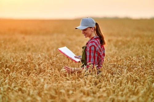 Vente Terrain Agricole Bouira Bouira