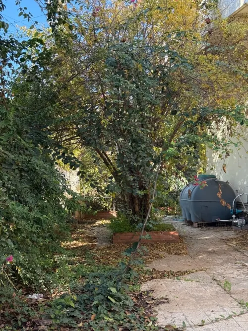 Vente Villa Alger Chevalley
