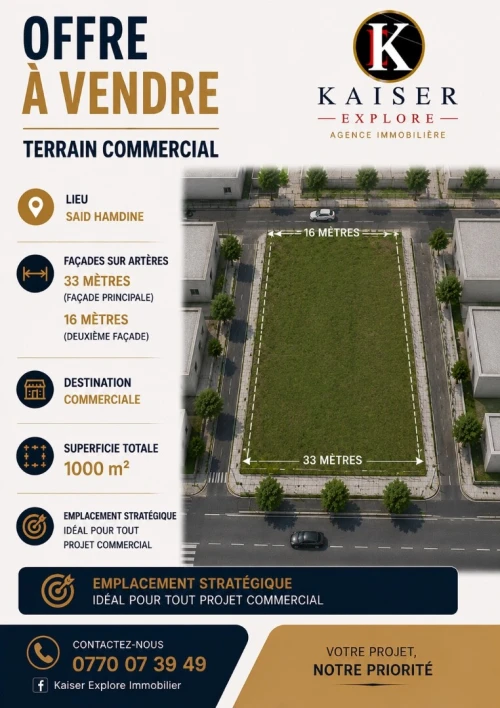 Vente Terrain Alger Said hamdine