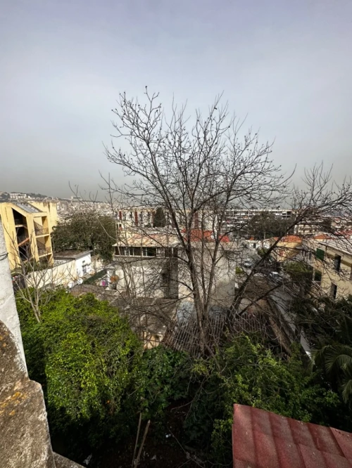 Vente Terrain Alger Alger centre