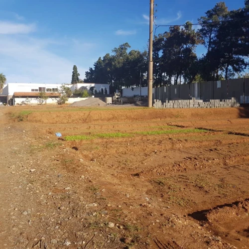 Location Terrain Agricole Alger Staoueli