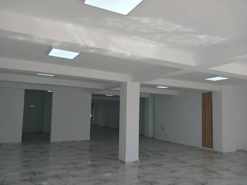 Location Local Alger El biar