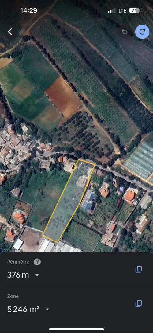 Vente Terrain Alger Birtouta