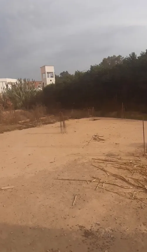 Vente Terrain Blida Ben khellil