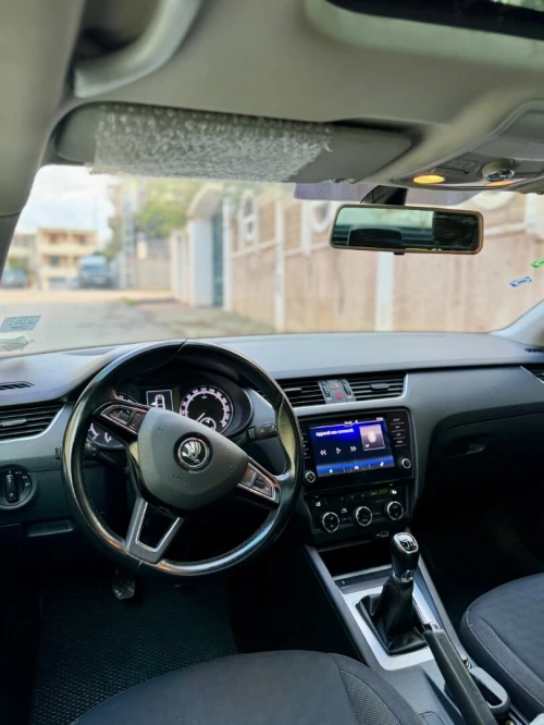 Skoda Octavia 2019 Clever