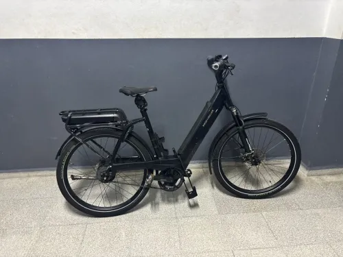 Vélo électrique riese and muler bosch double batterie