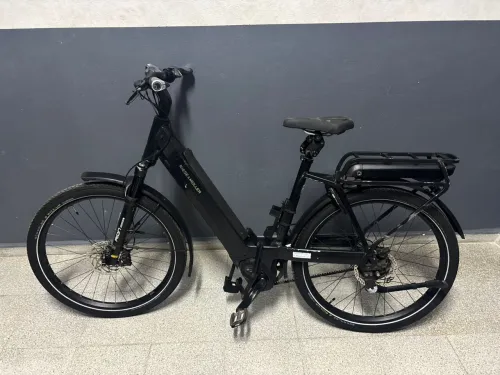 Vélo électrique riese and muler bosch double batterie
