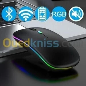 Souris SF HP rechargeable W10 