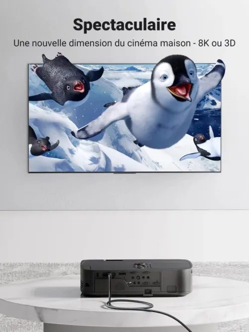 Câble HDMI 2.1[8K-60Hz/4K-120Hz] UGREEN Original REF: HD135 Cuivre pur 28AWG