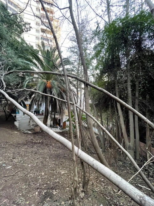 Vente Terrain Alger Alger centre