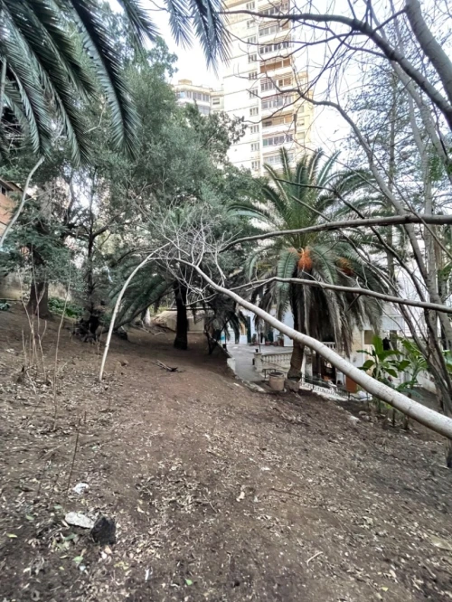 Vente Terrain Alger Alger centre