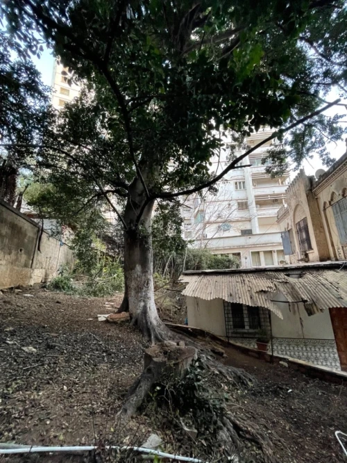Vente Terrain Alger Alger centre