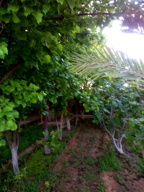 Vente Villa Laghouat Laghouat