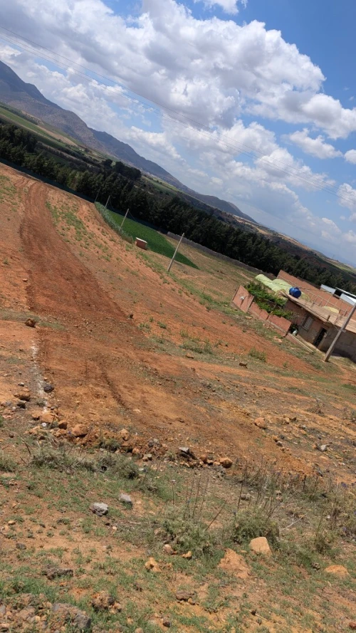 Vente Terrain Aïn Defla Mekhatria