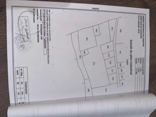 Vente Terrain Sétif Ain sebt