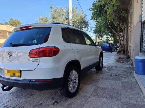 Volkswagen Tiguan 2014 Cup