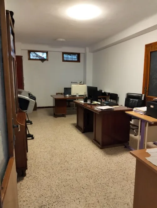 Location Local Alger Birkhadem