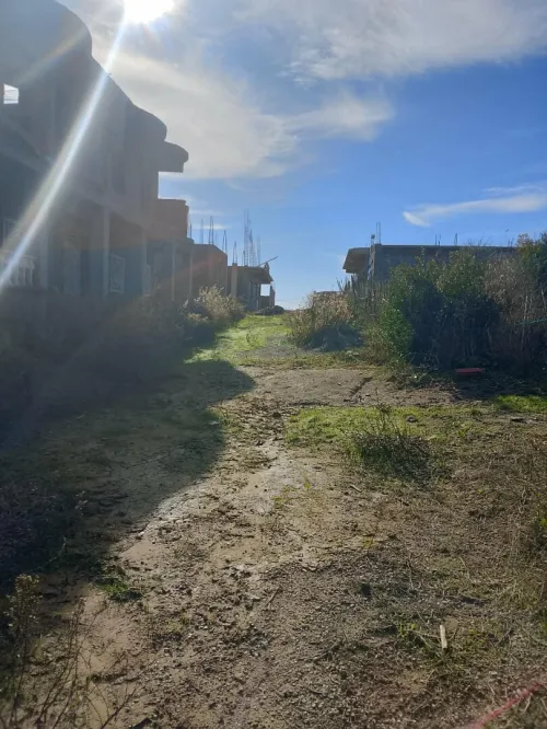 Vente Terrain Skikda Collo