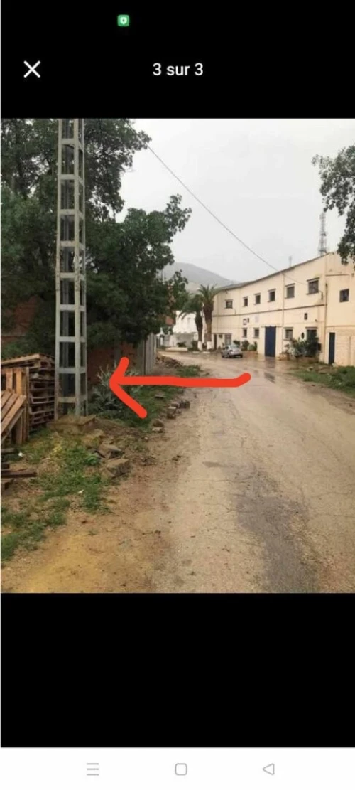 Vente Terrain Tlemcen Tlemcen