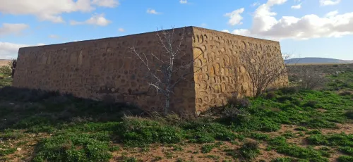 Vente Terrain Agricole Djelfa Had sahary