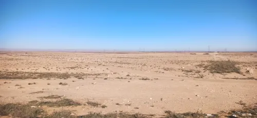 Vente Terrain Agricole Djelfa Ain oussara