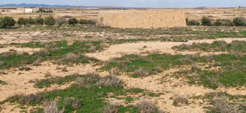 Vente Terrain Agricole Djelfa Had sahary