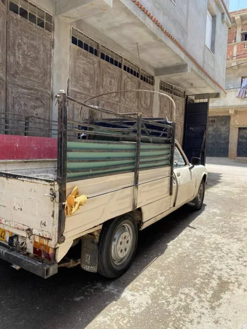 Peugeot 504 1988 Panachi