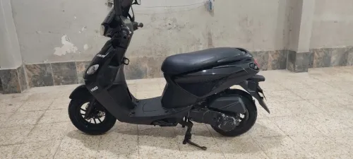 Vms Jocci 2019