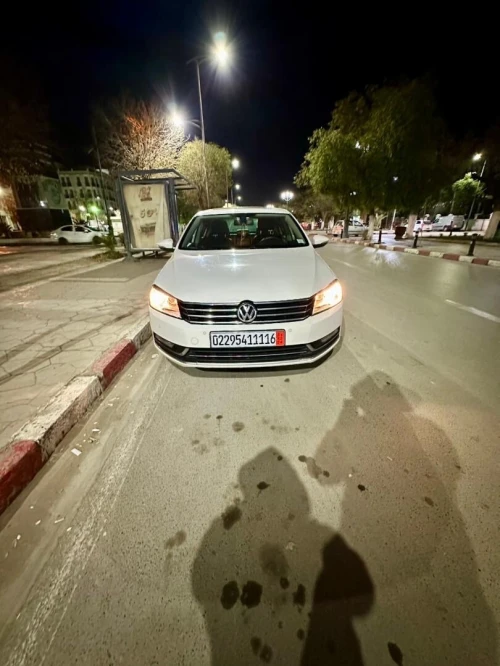 Volkswagen Passat 2011 Passat