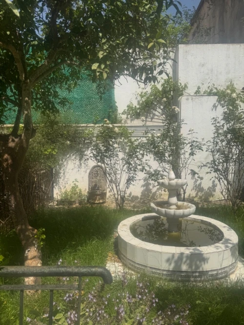 Location Appartement F3 Alger El biar